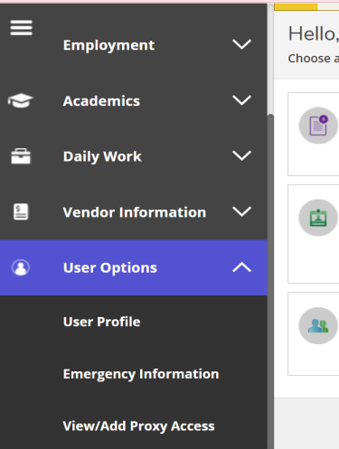 User Options menu showing View/Add Proxy Access