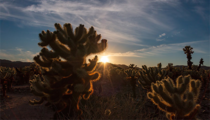 Exploring Digital Photography & Southern California