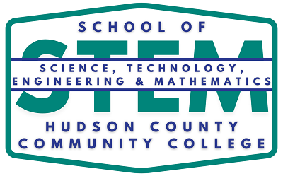 Skool vir STEM Logo