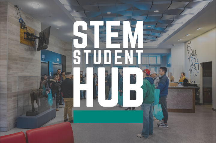 Stem Student Hub